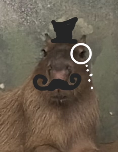 capybara in his sunday best