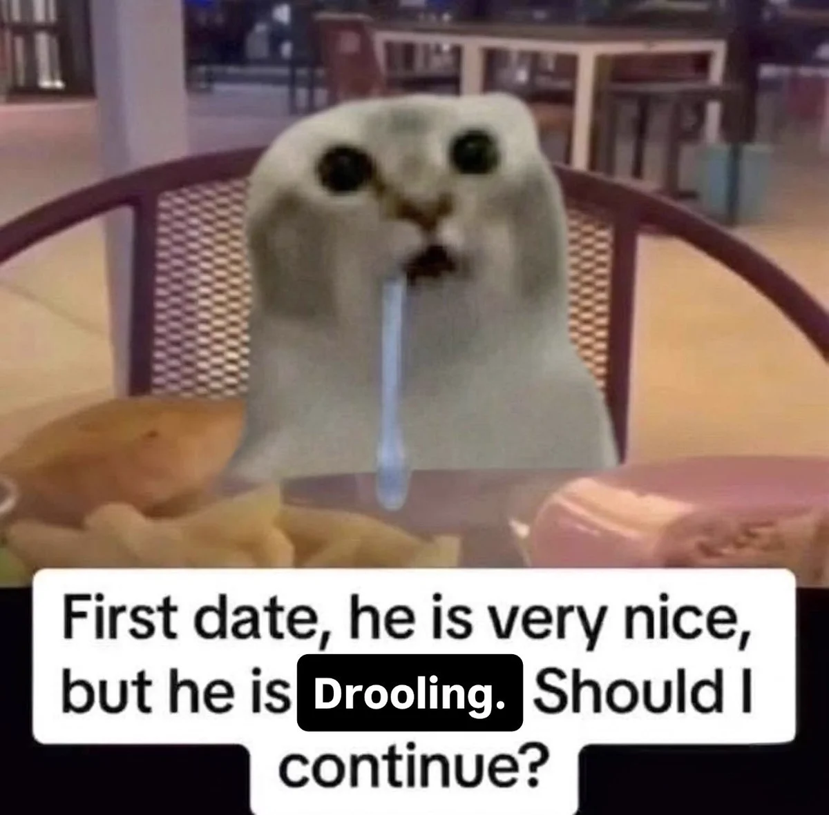 Cat Drooling at a table