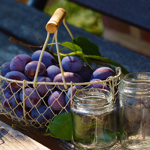 plum jam