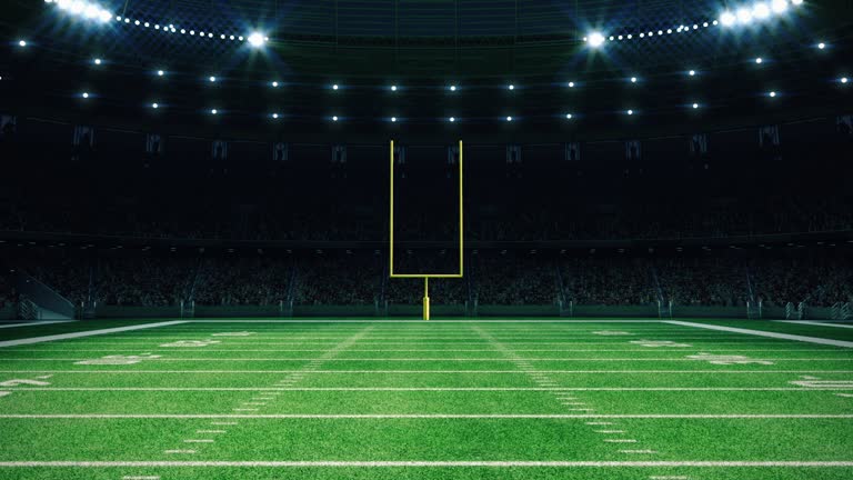 Fantasy Football Banner