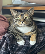 Remy