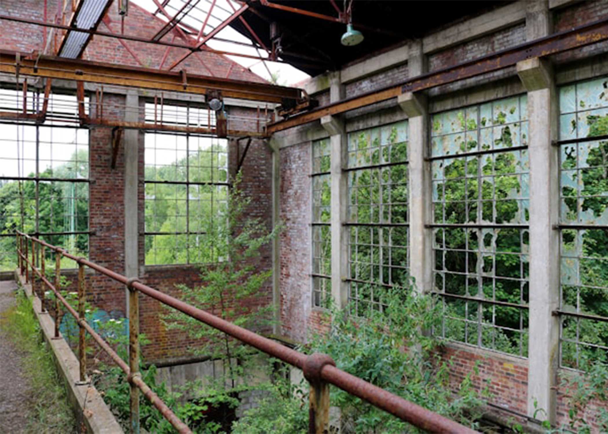 Brick building overgrown by nature