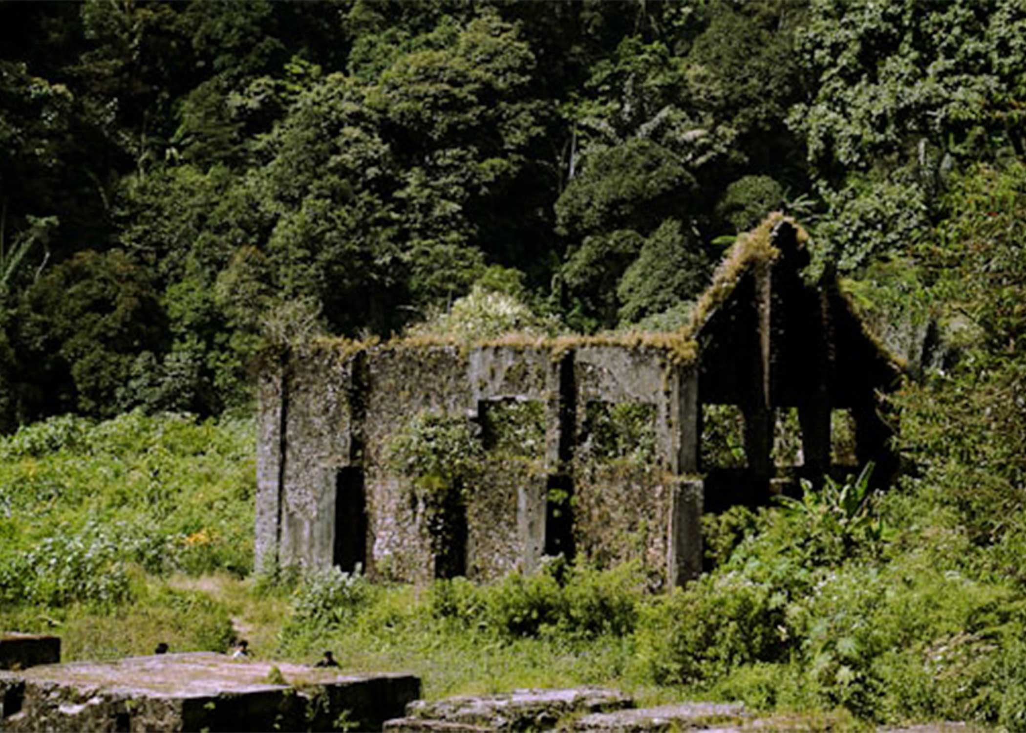 Overgrown stone ruins surrounded by forest