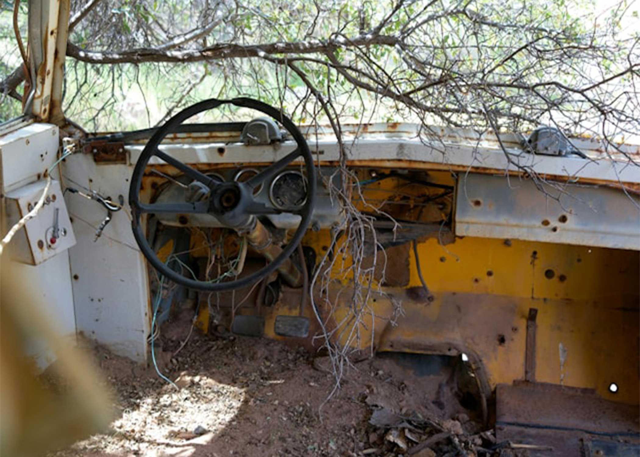 Rusting truck interior surrounded by overgrown brush