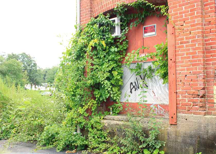 Abandoned Silver Factory