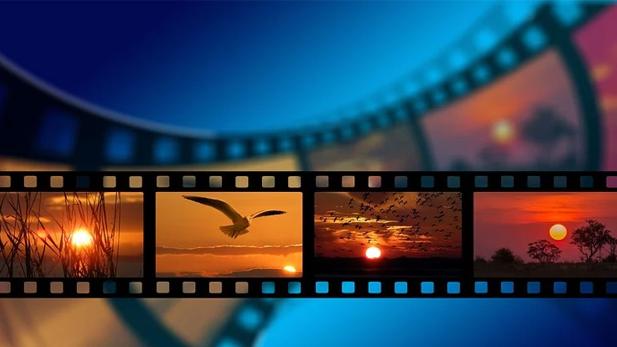 images of film negatives with scenes of sunsets